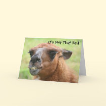 Llama Humorous 30th Birthday Greeting Card