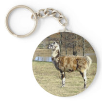 llama key chain