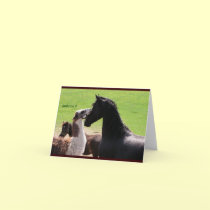 Llama kiss Greeting Cards
