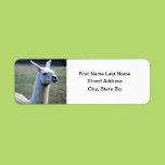 Llama Custom Return Address Label