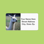 Llama Personalized Address Labels