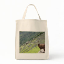 llama lands bag