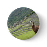 llama lands buttons