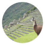 llama lands round stickers