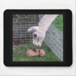 Llama Llove and Bunny mousepads