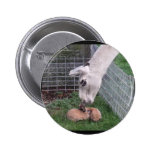 Llama Llove and Bunny buttons