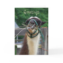 Llama Llunch, Greetings Greeting Cards