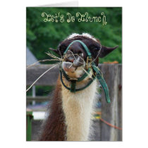 Llama Llunch, Let's Do Llunch cards by tinagunn Llama Llunch, Let's Do Llunch cards