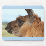 Llama looking left-Brown llama in a field mousepads