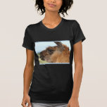 Llama looking left-Brown llama in a field t-shirts