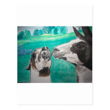 Llama Love Post Cards