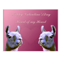 Llama love valentine day heart doube llama postcard