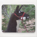 Llama Mama mousepads
