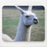 Llama Mousepad