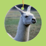 Llama Ornament
