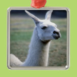 Llama Christmas Ornament