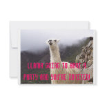 Llama Party Invite