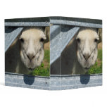 Llama Photograph binders