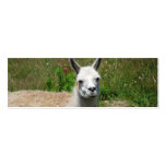 Llama Photograph Business Card Templates