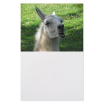 Llama Photograph Custom Stationery