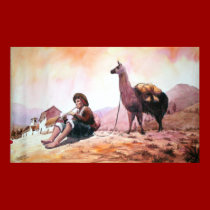 Llama Picture Cuzco Peru posters