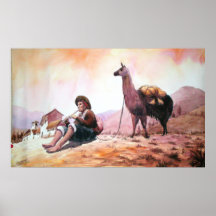 Llama Picture Cuzco Peru Posters
