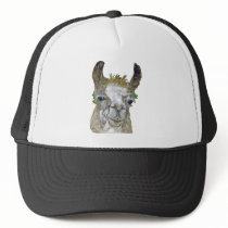 Llama Picture hats