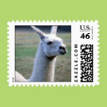 Llama Postage Stamps