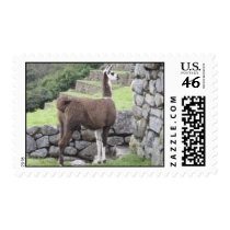 Llama postage by FredzCards Llama postage