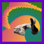 llama rainbow poster posters