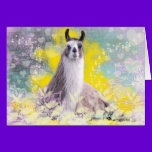 Llama Repose Fiberous Male Llama Montana Smoke cards