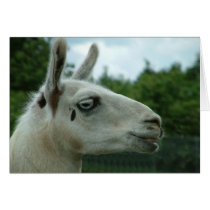 Llama Smiling cards by Libby Llama Smiling cards