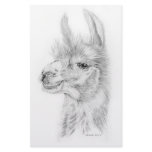 Llama Stationery
