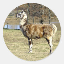 llama sticker