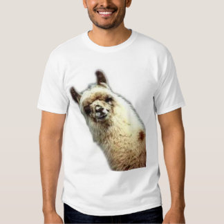 llama tee