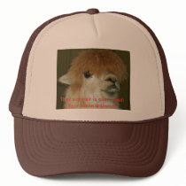 LLama, They say hair is over rated! Your havi... hats