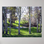 Llama Through Trees Posters