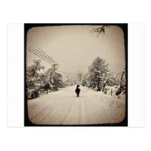 llama winter post cards