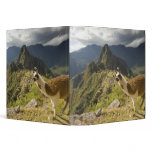 LLamas and an over look of Machu Picchu, binders