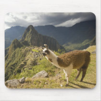 LLamas and an over look of Machu Picchu, Mousepads