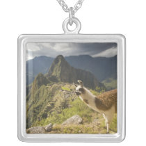 LLamas and an over look of Machu Picchu, Pendants