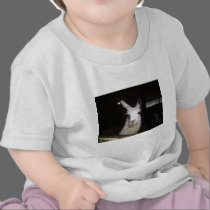 Llamas at Ashdown Forest Llama Farm t-shirts