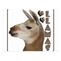 LLAMAS LOVE HEARTS POSTCARD