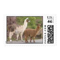 Llamas postage by FredzCards Llamas postage