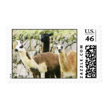 Llamas postage by FredzCards Llamas postage