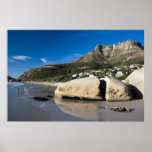 Llandudno Beach Posters
