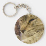 Llavero de ronroneo del gato