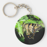 Llavero del ~ de Swallowtail del tigre