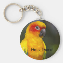 Llavero del loro de Sun Conure