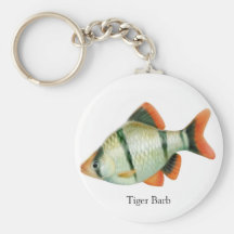 Llavero tropical de los pescados de Barb del tigre